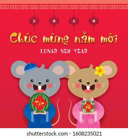 2020 Tet - year of the rat greeting card. Cute cartoon mouse couple holding watermelon & banh chung (rice cake) on red background. Flat design. (caption: Vietnamese new year)