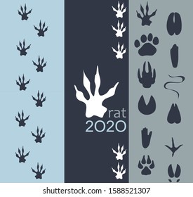 2020 year of the rat. Gray background from the tracks of the beasts of the Japanese calendar