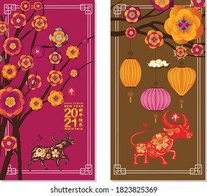 2021 Chinese New Year Greeting Card, two sides poster, flyer or invitation design with Paper cut Sakura Flowers and Ox (Chinese translation Happy chinese new year 2021, year of ox)