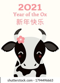 2021 Chinese New Year vector illustration with cute black and white ox, pink flower, Chinese typography Happy New Year. Flat style design. Concept for holiday card, banner, poster, decor element.
