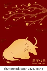 Ilustración vectorial de Año Nuevo chino 2021 con buey, rama de árbol, flores, tipografía china Feliz Año Nuevo, oro en rojo. Diseño de estilo plano. Concepto de tarjeta de vacaciones, banner, cartel, elemento decorativo.