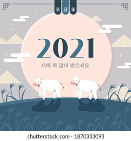 2021 Korean New Year's Day illustration. Celebrating the year of the white cow (Chinese translation: New Year)