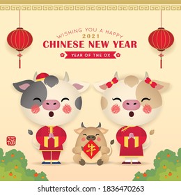2021 Year of the OX: Chinese new year greeting card. Cute cartoon cows with red lanterns & chinese couplet in flat design. Flat vector illustration. (translation: blessing)