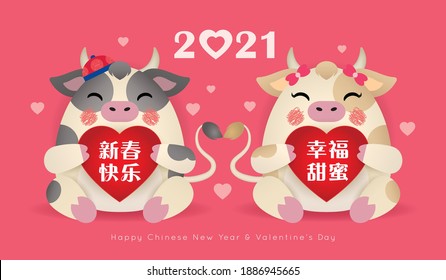 2021 year of the Ox Valentine's flat design. Cute cartoon cow couple holding red heart with greetings text. 14 february Chinese New year illustration. (translation: may you have a happiness new year)
