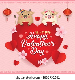 2021 year of the Ox Valentine's greeting card. Cartoon cow couple holding red heart with lantern and peach blossom. 14 february Chinese New year illustration. (translation: Happy Valentine's Day)