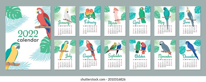 2022 calendar template. Calendar concept design with parrot. Week starts on Sunday. Set of 12 months 2022 pages. 