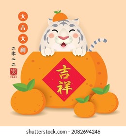 2022 chinese new year greeting card. Cute cartoon white tiger with tangerine. CNY flat design element. (text: wish you have a great new year ; year of the tiger)