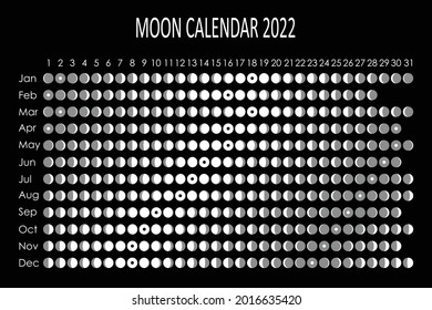 2022 Moon calendar. Astrological calendar design. planner. Place for stickers. Month cycle planner mockup. Isolated black and white background.