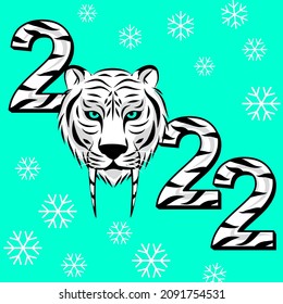 2022 Year of the tiger 