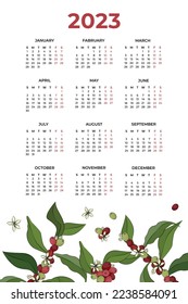2023 calendar template with coffee plant. Corporate and business calendar. Vector illustration
