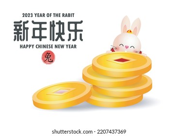 2023 Chinese new year, little rabbit with lion dance holding coins of gold,  year of the rabbit zodiac of Animal lucks, gong xi fa cai, Cartoon vector illustration isolated background text New year