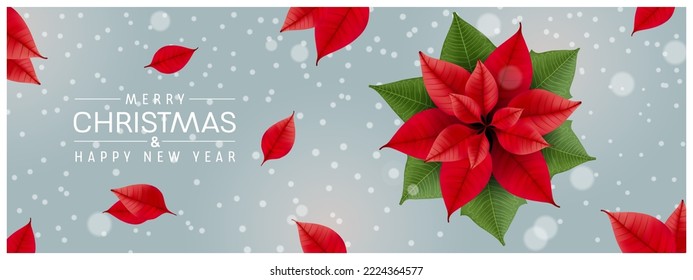 2023 Happy new year and merry christmas vector card, illustration or web background. Holiday and greeting season banner. Star flower and snowflakes
