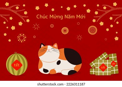 2023 Lunar New Year Tet cute cat, rice cakes, watermelon, apricot flowers, Vietnamese text Happy New Year. Hand drawn vector illustration. Flat style design. Concept for holiday card, poster, banner.