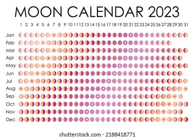 2023 Moon Calendar. Astrological Calendar Design. Planner. Place For Stickers. Month Cycle Planner Mockup. Isolated Black And White Background.