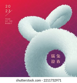 2023 Year Of The Rabbit Greeting Card. Symbol Of White Furry Rabbit On Gradient Background. Happy New Year Design Element. 3D Realistic Shaggy Fur Design. (text: Happy Lunar New Year)