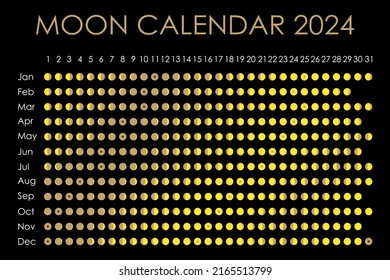 2024 Moon calendar. Astrological calendar design. planner. Place for stickers. Month cycle planner mockup. Isolated black and white background.
