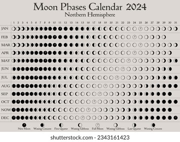 Illustration of Moon phase infographic premium vector PNG