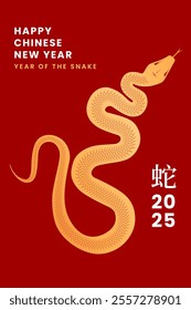 2025 Chinese new year card template. Creative background design with snake in red and gold colors. Vector illustration. Chinese translation: Snake