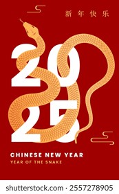 2025 Chinese new year card template. Creative background design with snake in red and gold colors. Vector illustration.