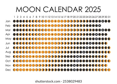 2025 Moon calendar. Astrological calendar design. planner. Place for stickers. Month cycle planner mockup. Isolated black and white background.