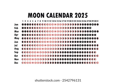 2025 Moon calendar. Astrological calendar design. planner. Place for stickers. Month cycle planner mockup. Isolated black and white background.
