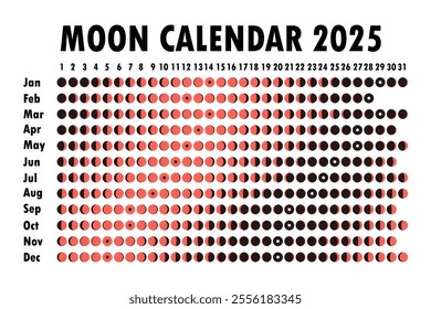 2025 Moon calendar. Astrological calendar design. planner. Place for stickers. Month cycle planner mockup. Isolated black and white background.