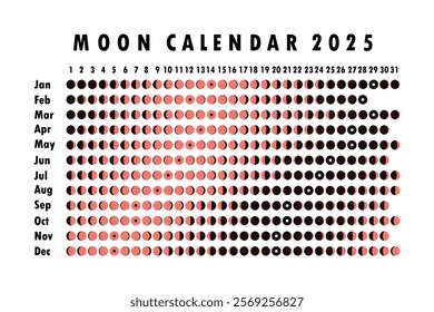 2025 Moon calendar. Astrological calendar design. planner. Place for stickers. Month cycle planner mockup. Isolated black and white background.