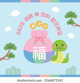 A 2025 New Year banner, poster illustration with a cute snake character and a lucky bag on a pine tree and cloud background. It says "Happy New Year 2025" and "Year of the Snake" in Korean.