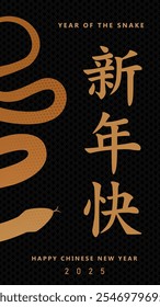 2025. Year of The Snake. Happy New Year. Lunar Chinese New Year Greeting. Simple Chinese New Year Wishes ideal for Banner, Newsletter. Gold Snake on a Black Background with Snake Skin Print. RGB.