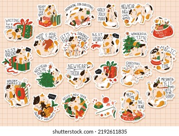 22 stickers with funny Christmas cat. Humorous quotes. Prints with cat preparing to new year. Greeting card for holiday party. Poster, print. Flat style in vector illustration. A4 format. 