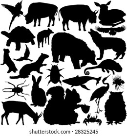 23 pieces of detailed vectoral wild animals silhouettes.