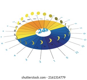 24 Hour Pie Chart Sun And Moon Vector Illustration