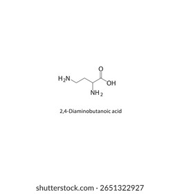 Estrutura esquelética do ácido 2,4-diaminobutanóico Ilustração esquemática do composto de aminoácidos. Diagrama simples, fórmula química.