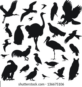 25 black icons of images of birds on a white background