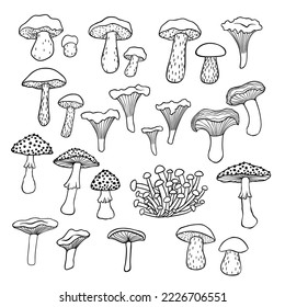 25 black and white mushrooms, vector illustrations