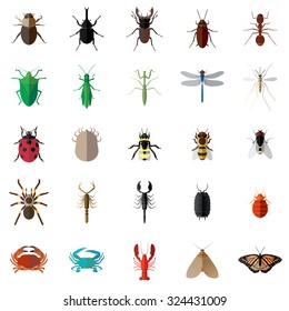 25 Bug Insect Set