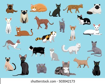 25 Cat Breeds Cartoon Vector Illustration