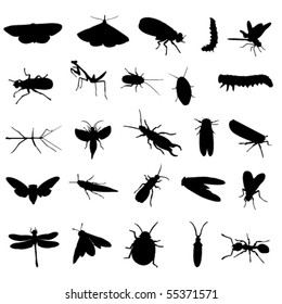 25 different insects silhouettes