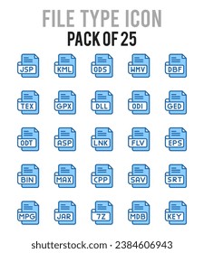 25 Tipo de archivo. paquete de iconos. ilustración vectorial.