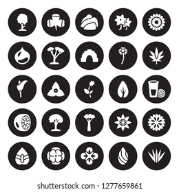 25 vector icon set : Cypress, Almond, Alstroemeria, Anemone, Anthurium, Cannabis, Birch, Baobab, Bergamot, Chestnut, Cliff, Clover isolated on black background.