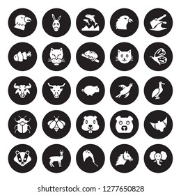 25 vector icon set : Eagle, Alpaca, Anteater, Antelope, Badger, Butterfly, Bird, Beaver, Beetle, Clown fish, Dolphin, Donkey isolated on black background.