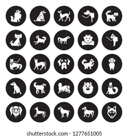 25 vector icon set : Pomeranian dog, Irish Setter Terrier Italian Greyhound Japanese Chin Newfoundland Maltipoo Komondor dog isolated on black background.