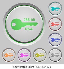 256 Bit Rsa Encryption Color Icons On Sunk Push Buttons