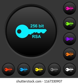 256 bit rsa encryption dark push buttons with vivid color icons on dark grey background