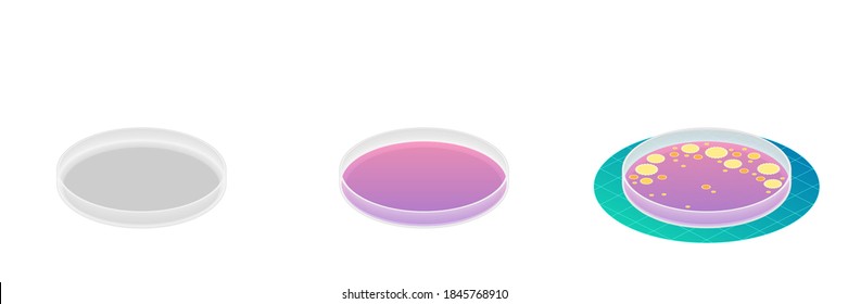 2.5D Isometric View Laboratory Glass Petri Dish With Fungi, Bacteria Growth Colony Science Experiment Vector Design Illustration Isolated On White Background