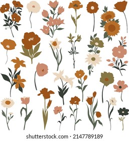 27 flores vectoriales y varias plantas en colores boho