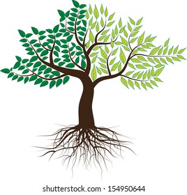 2-color tree.