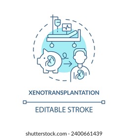 2D editable blue xenotransplantation icon, monochromatic isolated vector, thin line illustration representing cell therapy.