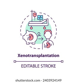 2D editable multicolor xenotransplantation icon, simple isolated vector, thin line illustration representing cell therapy.