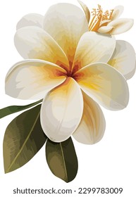 2d flat single tropical flower white background no shadow illustration